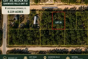 Lot 35 E Snapdragon St, Defuniak Springs, FL 32433 - Photo 1