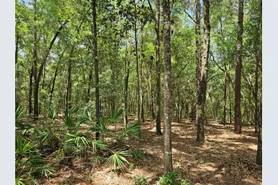940 Hiawatha Street, Holt, FL 32564 - Photo 37
