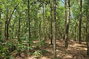 940 Hiawatha St, Holt, FL 32564 - Photo 37