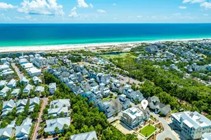 87 Grace Pt Wy, Inlet Beach, FL 32461 - Photo 63