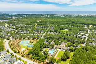 770 Breakers Street, Inlet Beach, FL 32461 - Photo 57