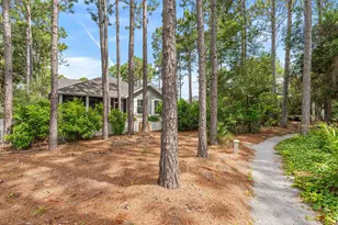 770 Breakers Street, Inlet Beach, FL 32461 - Photo 51