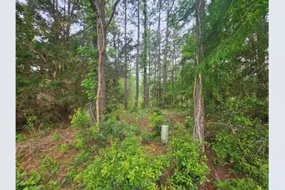 Lot #2 Dolphin Cove, Freeport, FL 32439 - Photo 3