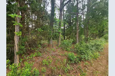 Lot #2 Dolphin Cove, Freeport, FL 32439 - Photo 5