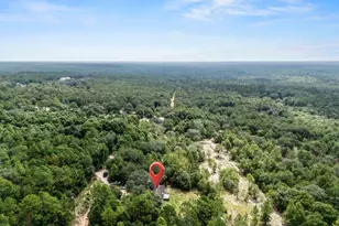 439 Woodpecker Ln, Holt, FL 32564 - Photo 31