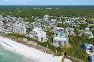 3799 E County Hwy 30A, Santa Rosa Beach, FL 32459 - Photo 43