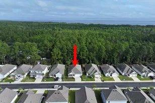 191 Southern Pnes Rd, Santa Rosa Beach, FL 32459 - Photo 3