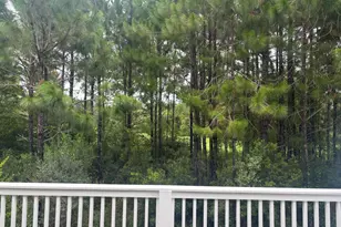65 Golden Bell Ct, Inlet Beach, FL 32461 - Photo 3