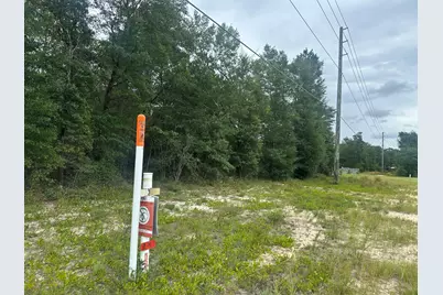 Xxx W US 90 Highway, Defuniak Springs, FL 32433 - Photo 3