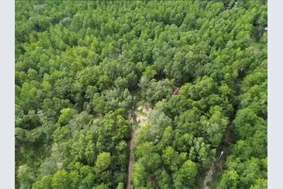 338 Carol Lane, Defuniak Springs, FL 32433 - Photo 3