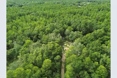 338 Carol Lane, Defuniak Springs, FL 32433 - Photo 5