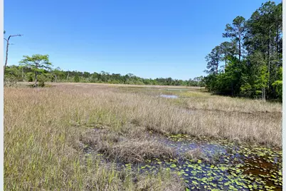 Xxx Corral Road, Milton, FL 32583 - Photo 5
