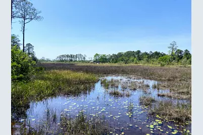 Xxx Corral Road, Milton, FL 32583 - Photo 3