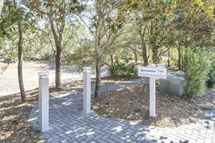325 Morgans Trail, Santa Rosa Beach, FL 32459 - Photo 81