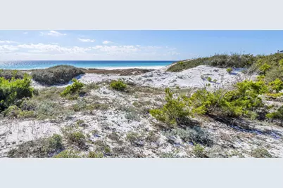 325 Morgans Trail, Santa Rosa Beach, FL 32459 - Photo 87