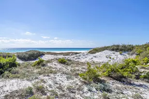 325 Morgans Trail, Santa Rosa Beach, FL 32459 - Photo 87