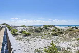 325 Morgans Trail, Santa Rosa Beach, FL 32459 - Photo 89
