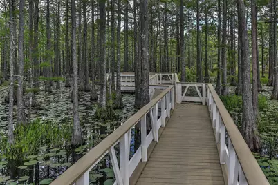 151 Cypress Psge #Lot 11B, Santa Rosa Beach, FL 32459 - Photo 17