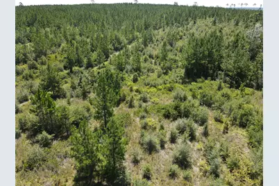 A-12 Silas Drive, Milton, FL 32570 - Photo 3