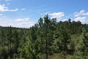 A-12 Silas Dr, Milton, FL 32570 - Photo 1