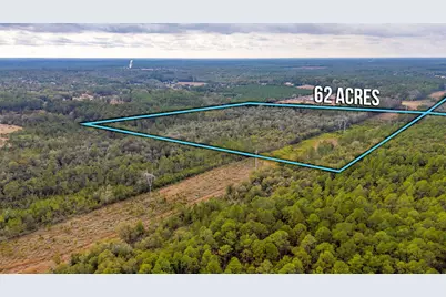 62 Acres Maes Lane, Defuniak Springs, FL 32433 - Photo 3