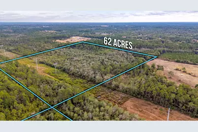 62 Acres Maes Lane, Defuniak Springs, FL 32433 - Photo 5