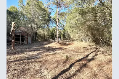 62 Acres Maes Lane, Defuniak Springs, FL 32433 - Photo 11