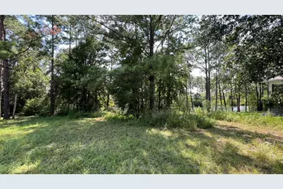 Tbd Lot 1 S Marsh Landing #TBD (Lot 1), Freeport, FL 32439 - Photo 17
