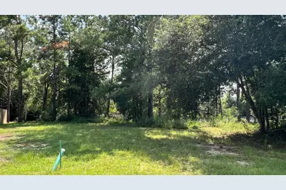 Tbd Lot 1 S Marsh Landing #TBD (Lot 1), Freeport, FL 32439 - Photo 21