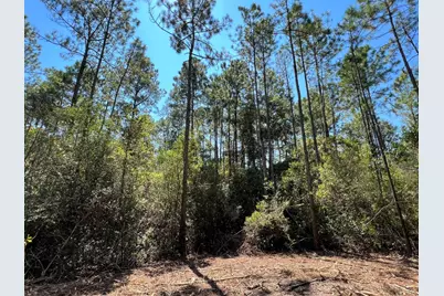 10.7 Acres Juniper Lake Road, Defuniak Springs, FL 32433 - Photo 3