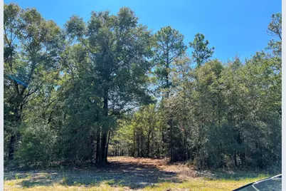 10.7 Acres Juniper Lake Road, Defuniak Springs, FL 32433 - Photo 5