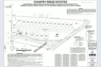 10.7 Acres Juniper Lake Road #TBD (Country Ridge Estates), Defuniak Springs, FL 32433 - Photo 7