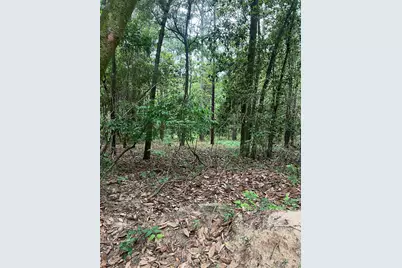 Parcel A Willow Lane #Parcel A, Crestview, FL 32539 - Photo 3
