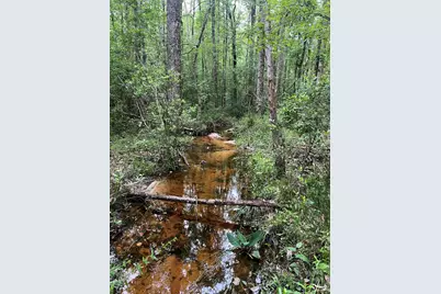 Parcel B Willow Lane, Crestview, FL 32539 - Photo 3