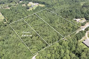 Parcel C Willow Ln, Crestview, FL 32539 - Photo 1