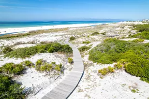 100 South Bridge Ln, Inlet Beach, FL 32461 - Photo 3