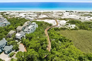 51 Shingle Ln, Inlet Beach, FL 32461 - Photo 63