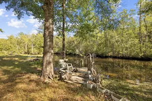 748 Phillips Dr, Freeport, FL 32439 - Photo 3