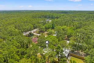 40 Long Leaf Cir, Santa Rosa Beach, FL 32459 - Photo 59