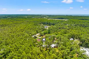 40 Long Leaf Cir, Santa Rosa Beach, FL 32459 - Photo 61