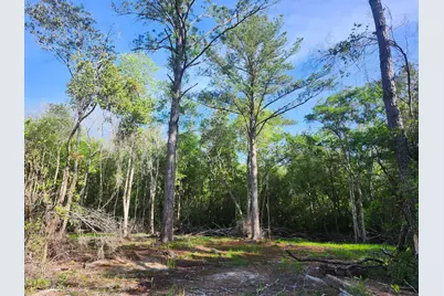 168 Acres Co Hwy 1087 #168 Acres, Defuniak Springs, FL 32433 - Photo 3