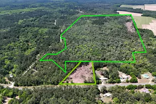 168 Acres Co Hwy 1087, Defuniak Springs, FL 32433 - Photo 1