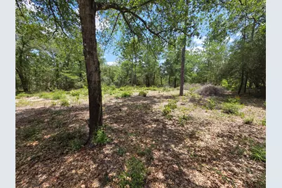 Lot 20 E Tulip East Avenue, Defuniak Springs, FL 32433 - Photo 5