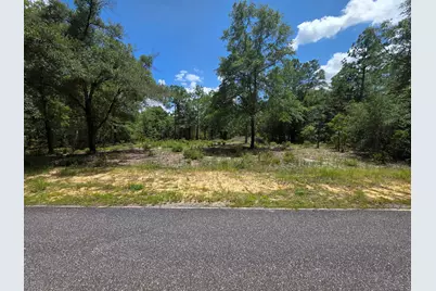 Lot 20 E Tulip East Avenue, Defuniak Springs, FL 32433 - Photo 11