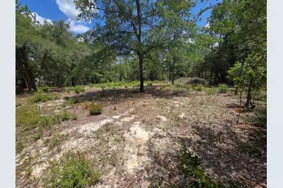 Lot 20 E Tulip East Avenue, Defuniak Springs, FL 32433 - Photo 7