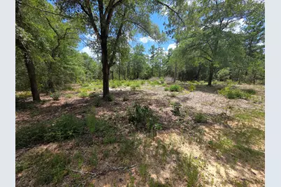 Lot 20 E Tulip East Avenue, Defuniak Springs, FL 32433 - Photo 9