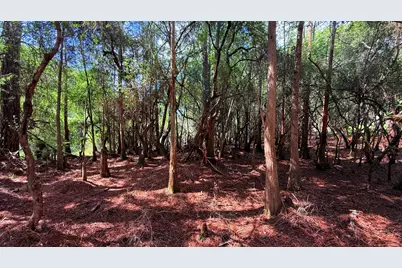 Tbd Lot 8 Gulf Hills Drive, Santa Rosa Beach, FL 32459 - Photo 23