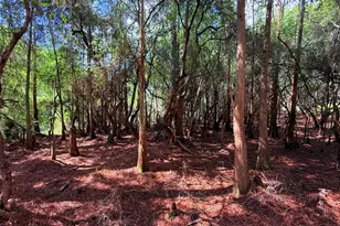 Tbd Lot 8 Gulf Hills Dr, Santa Rosa Beach, FL 32459 - Photo 23
