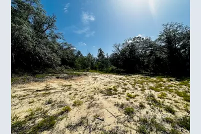 4195 Whippoorwill Drive, Holt, FL 32564 - Photo 9