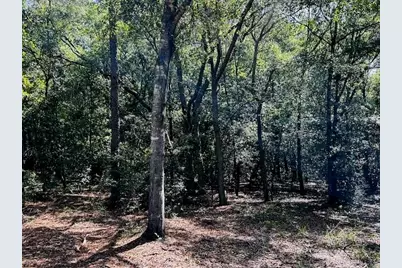 4195 Whippoorwill Drive, Holt, FL 32564 - Photo 19